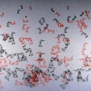 C. Csuri and J. Shaffer - Random War (1967)