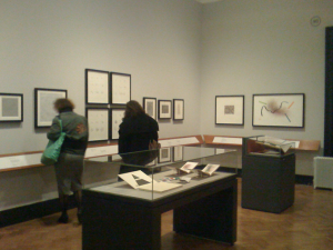 Exhibition Catalogues and Photographs