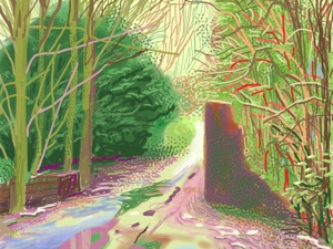 David Hockney - February 2012