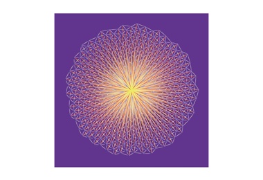 Marcus West - Radiating Light Generates a Fibonacci Structure (2023)