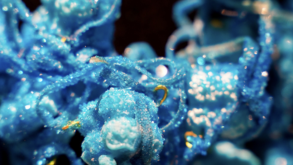 Cellular Reprogramming Necklae Anna Dumitriu Talk CAS BCS