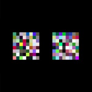 Computational Constructs