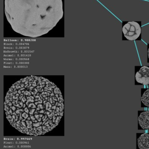 Deep Learning as a Creative Collaborator, Or How I Learned to Stop Worrying and Love AI