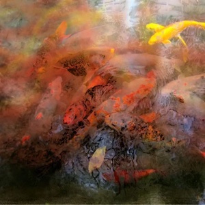 Alex May Algorithmic Photography